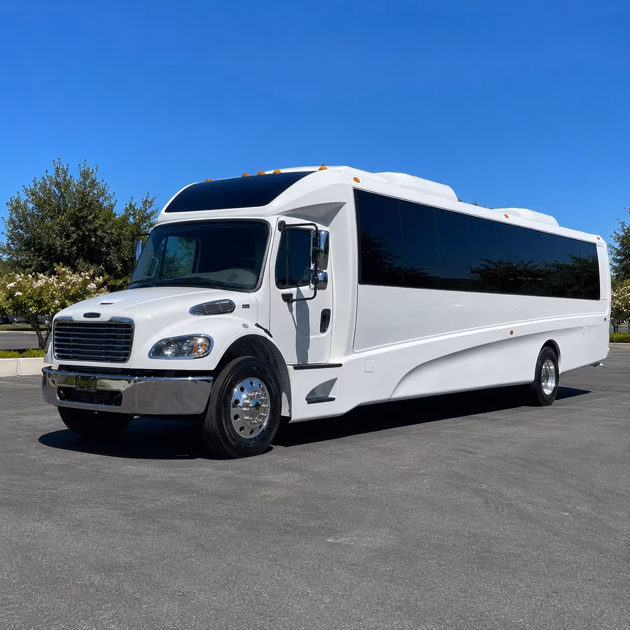 give your group the prom night ride they will actually remember