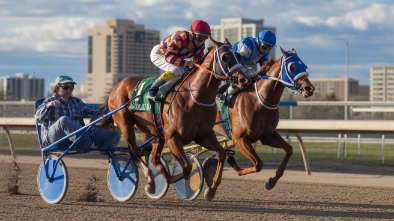 arapahoe park racetrack