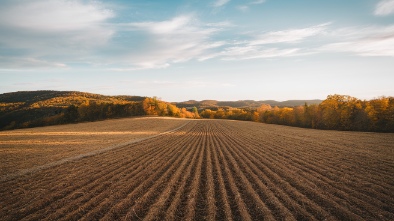 harvest ridge